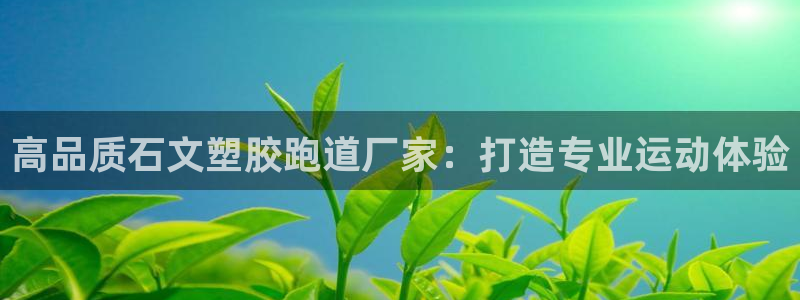 谈球吧体育app官网下载安卓：高品质石文塑胶跑道厂家：打造专业运动体验