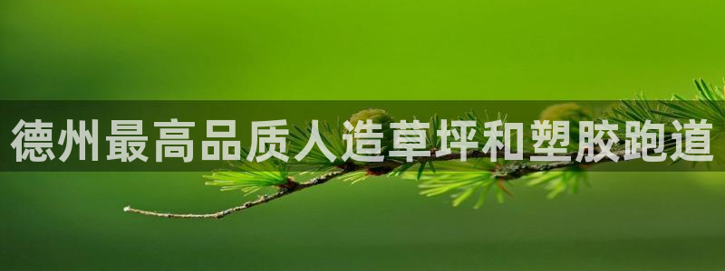 谈球吧体育app下载官网手机版：德州最高品质人造草坪