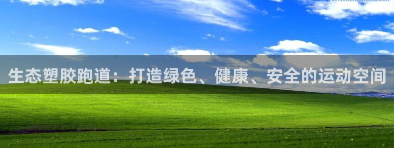 谈球吧官网在线入口手机版免费观看：生态塑胶跑道：打造绿色、健康、安全的运动空间