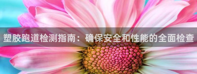 谈球吧体育app下载中心在哪：塑胶跑道检测指南：确保安全和性能的全面检查