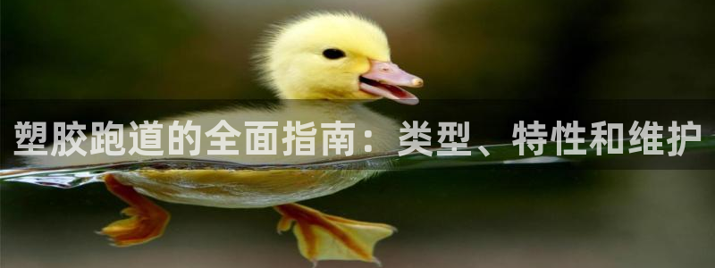 谈球吧官网在线入口手机版下载苹果：塑胶跑道的全面指南：类型、特性和维护