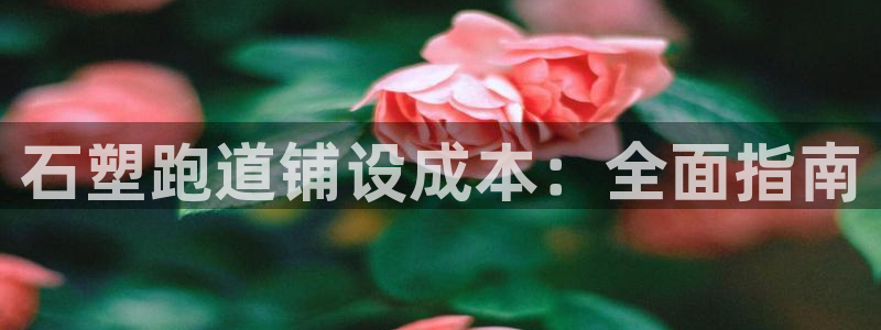 谈球吧体育app下载官网苹果：石塑跑道铺设成本：全面指南