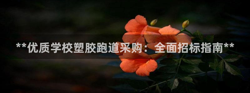 谈球吧官网下载：**优质学校塑胶跑道采购：全面招标指南**