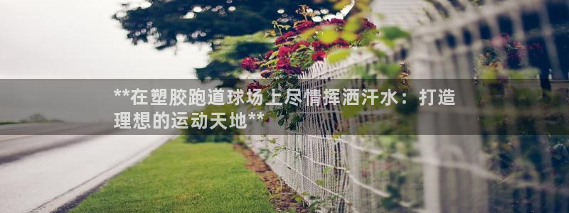 谈球吧体育app下载中心：**在塑胶跑道球场上尽情挥