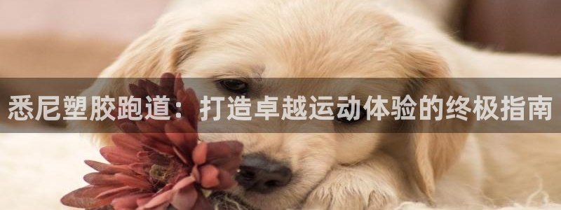 谈球吧平台正规吗：悉尼塑胶跑道：打造卓越运动体验的终极指南