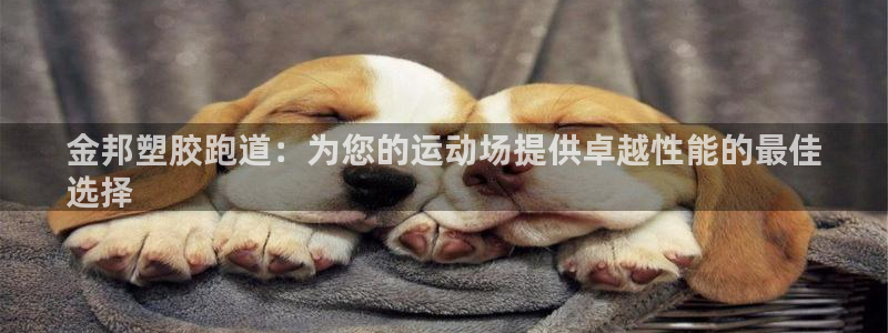 谈球吧体育app官网下载安卓：金邦塑胶跑道：为您的运动场提供卓越性能的最佳
选择