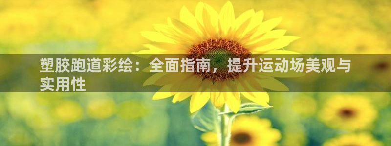 谈球吧平台正规吗可靠吗安全吗：塑胶跑道彩绘：全面指南，提升运动场美观与
实用性