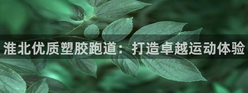 谈球吧电子：淮北优质塑胶跑道：打造卓越运动体验