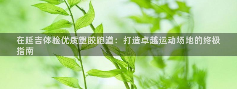 谈球吧体育app下载中心：在延吉体验优质塑胶跑道：打造卓越运动场地的终极
指南