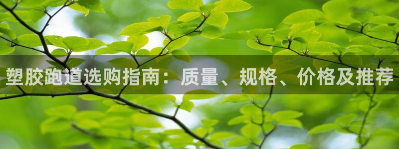 谈球吧娱乐app下载官网苹果：塑胶跑道选购指南：质量、规格、价格及推荐
