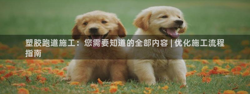 谈球吧靠谱吗：塑胶跑道施工：您需要知道的全部内容 |