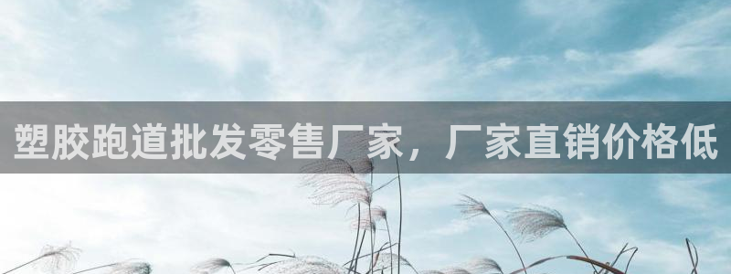 谈球吧nba：塑胶跑道批发零售厂家，厂家直销价格低
