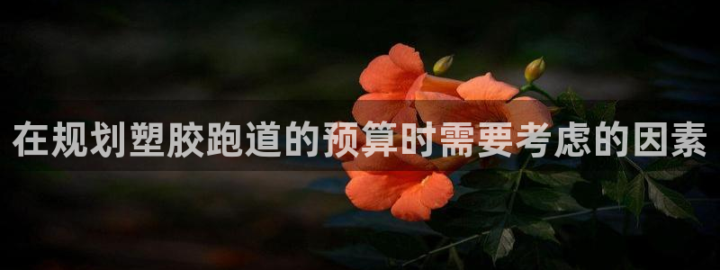 谈球吧体育app下载官网苹果版：在规划塑胶跑道的预算时需要考虑的因素