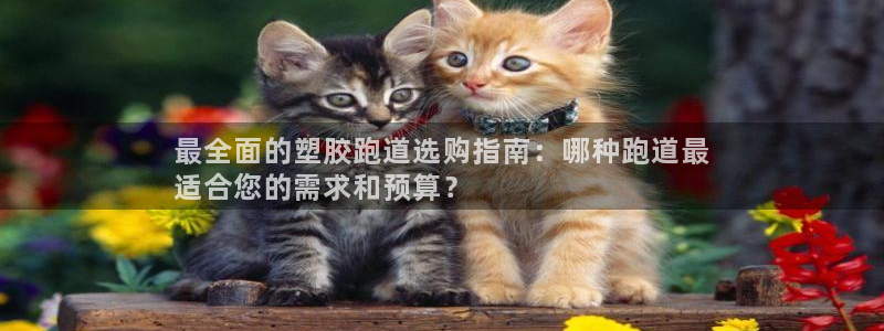 谈球吧体育app下载足球比赛直播：最全面的塑胶跑道选购指南：哪种跑道最
适合您的需求和预算？