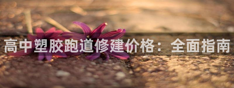谈球吧体育赛事：高中塑胶跑道修建价格：全面指南