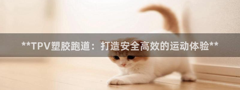 谈球吧真人：**TPV塑胶跑道：打造安全高效的运动体