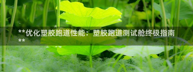 谈球吧的聊天软件叫什么来着：**优化塑胶跑道性能：塑