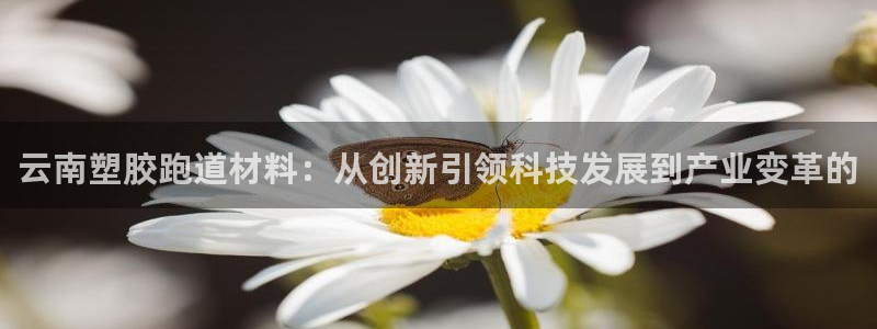 谈球吧咋样