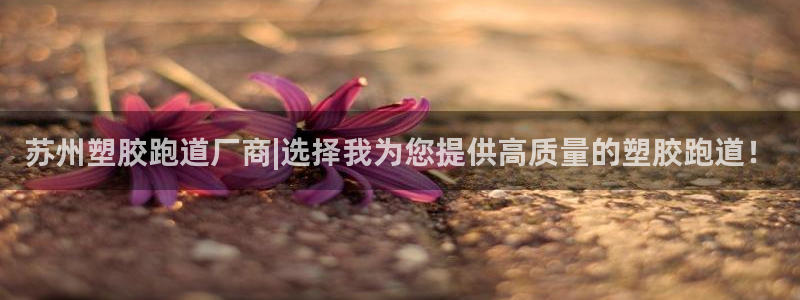 谈球吧言网入口