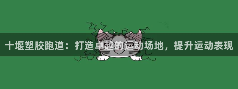谈球吧app下载安装：十堰塑胶跑道：打造卓越的运动场