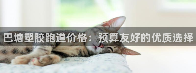 谈球吧网页版在线入口：巴塘塑胶跑道价格：预算友好的优