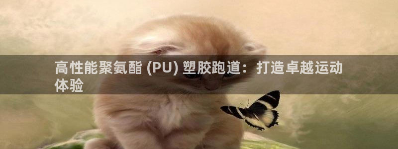 谈球吧app在哪里下载：高性能聚氨酯 (PU) 塑胶