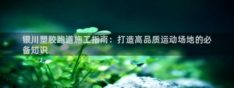 谈球吧不出款：银川塑胶跑道施工指南：打造高品质运动场