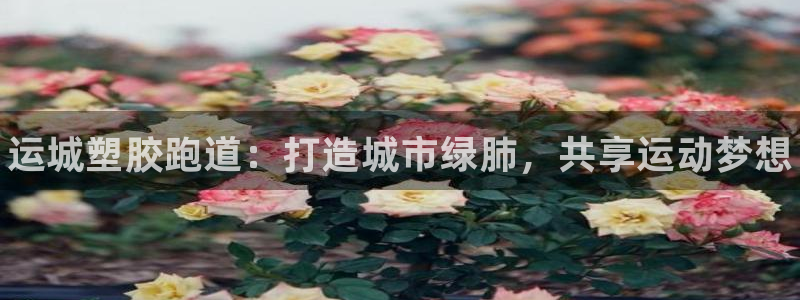 谈球吧平台正规吗可信吗安全吗