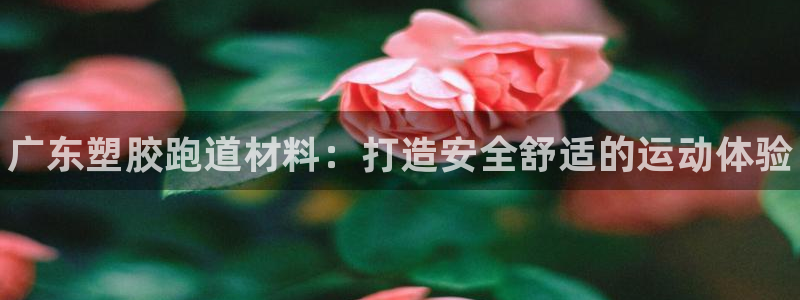 谈球吧黑款不：广东塑胶跑道材料：打造安全舒适的运动体验