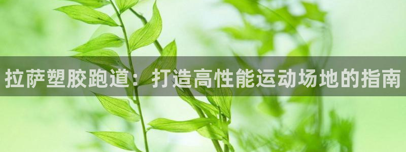 谈球吧体育app下载官网苹果：拉萨塑胶跑道：打造高性能运动场
