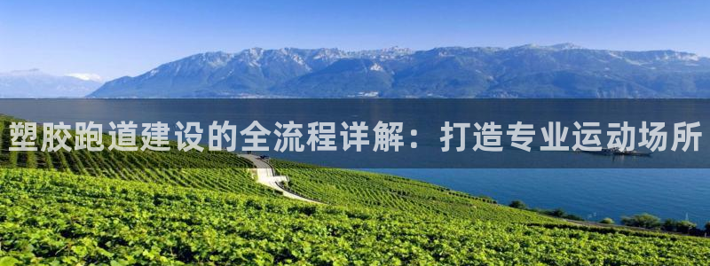 谈球吧买球是正规的吗：塑胶跑道建设的全流程详解：打造专业运动