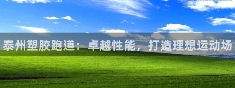 谈球吧网页登陆：泰州塑胶跑道：卓越性能，打造理想运动场