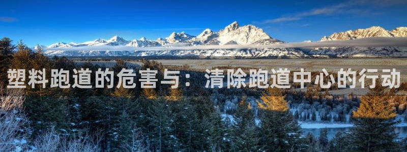 谈球吧官网在线入口手机版