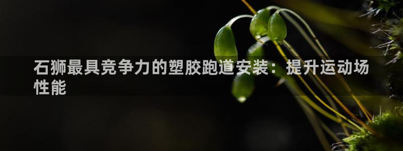 谈球吧体育app下载中心官方最新版：石狮最具竞争力的