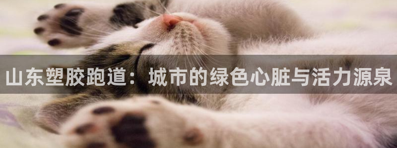 谈球吧全站app下载手机版