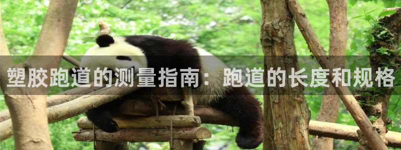 谈球吧网址：塑胶跑道的测量指南：跑道的长度和规格