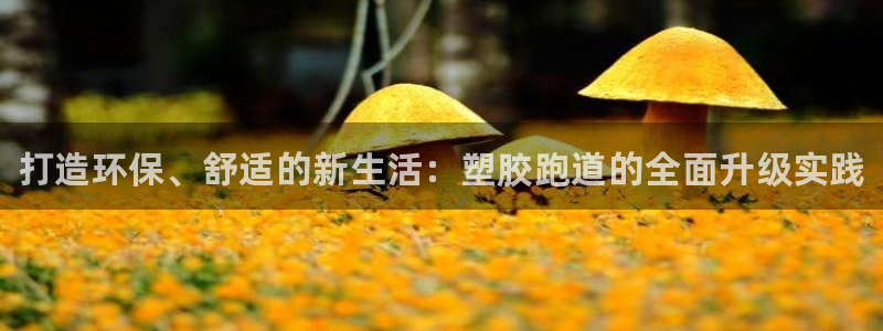 谈球吧体育赛事