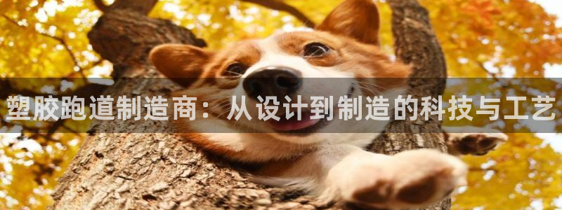 谈球吧中国：塑胶跑道制造商：从设计到制造的科技与工艺